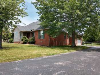 Photos